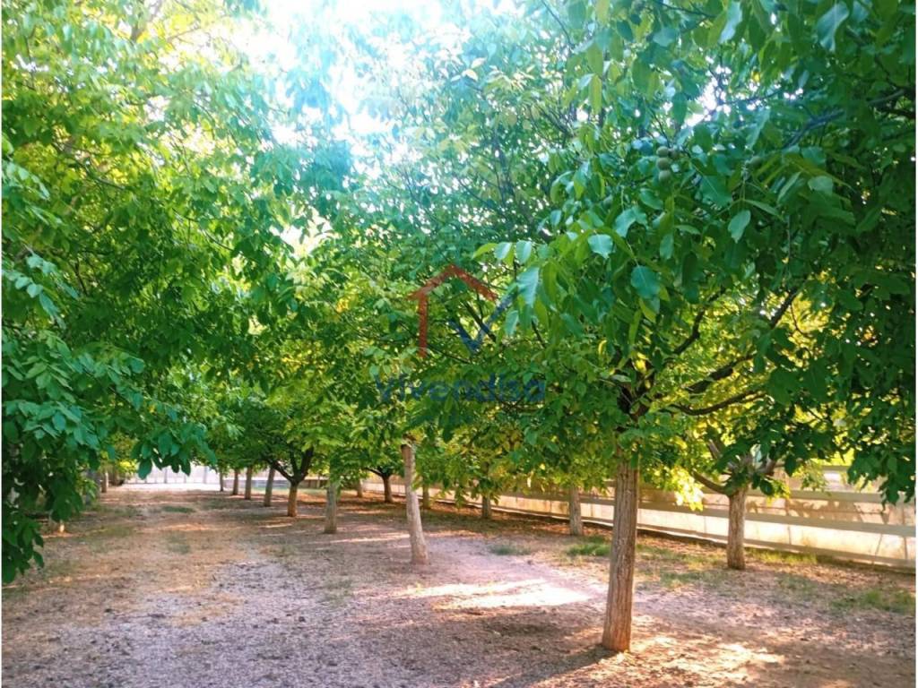Jardín