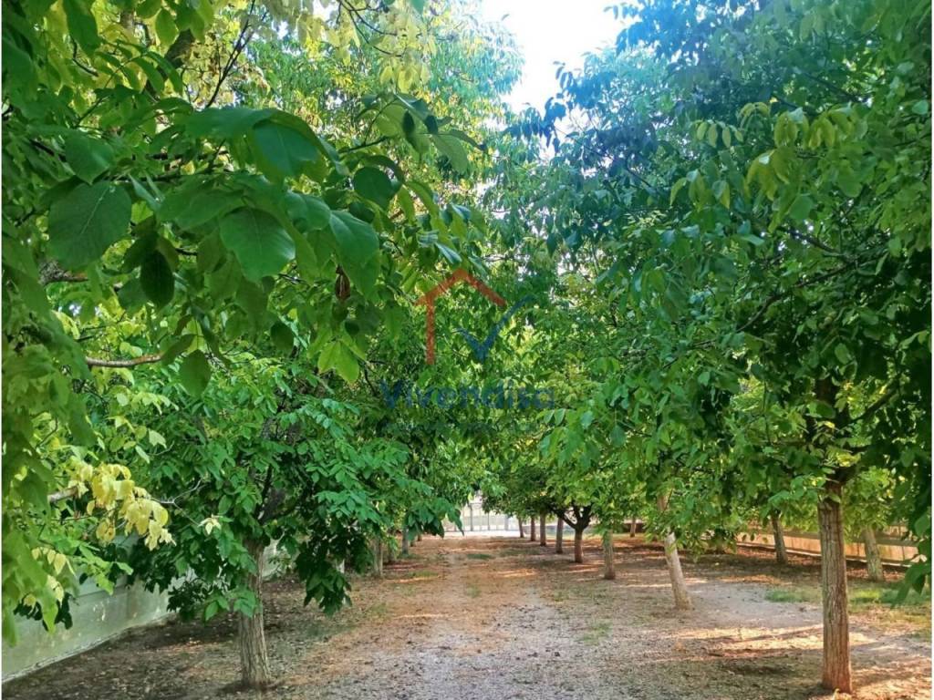 Jardín