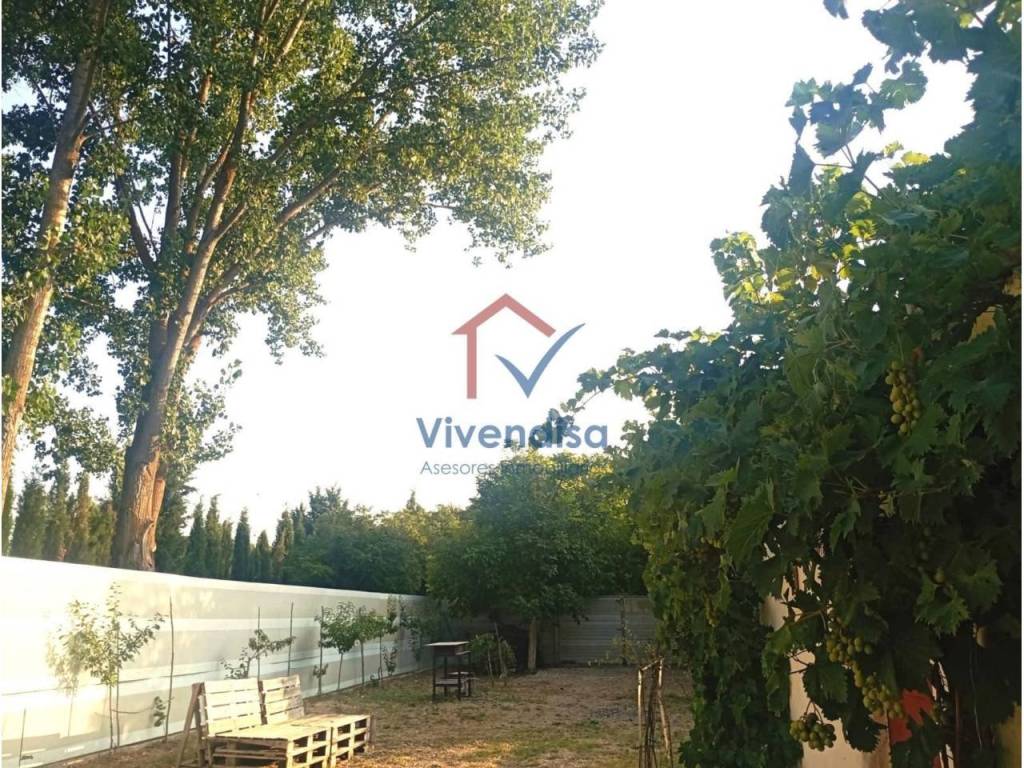 Vistas