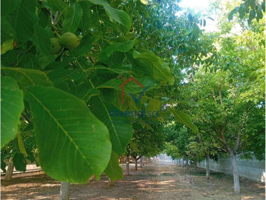 Jardín