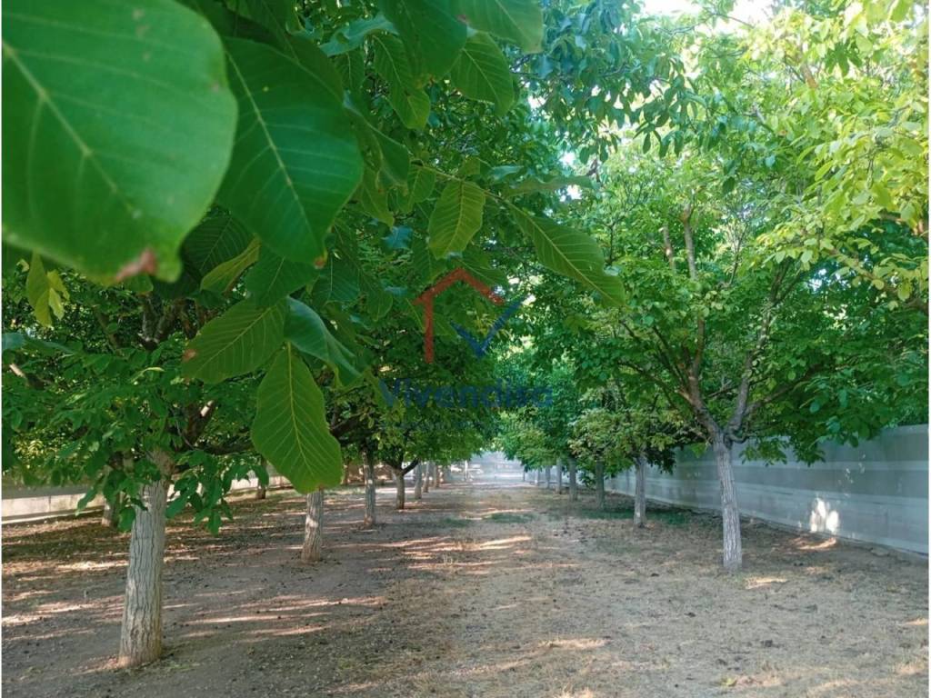 Jardín