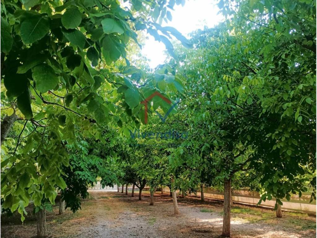Jardín