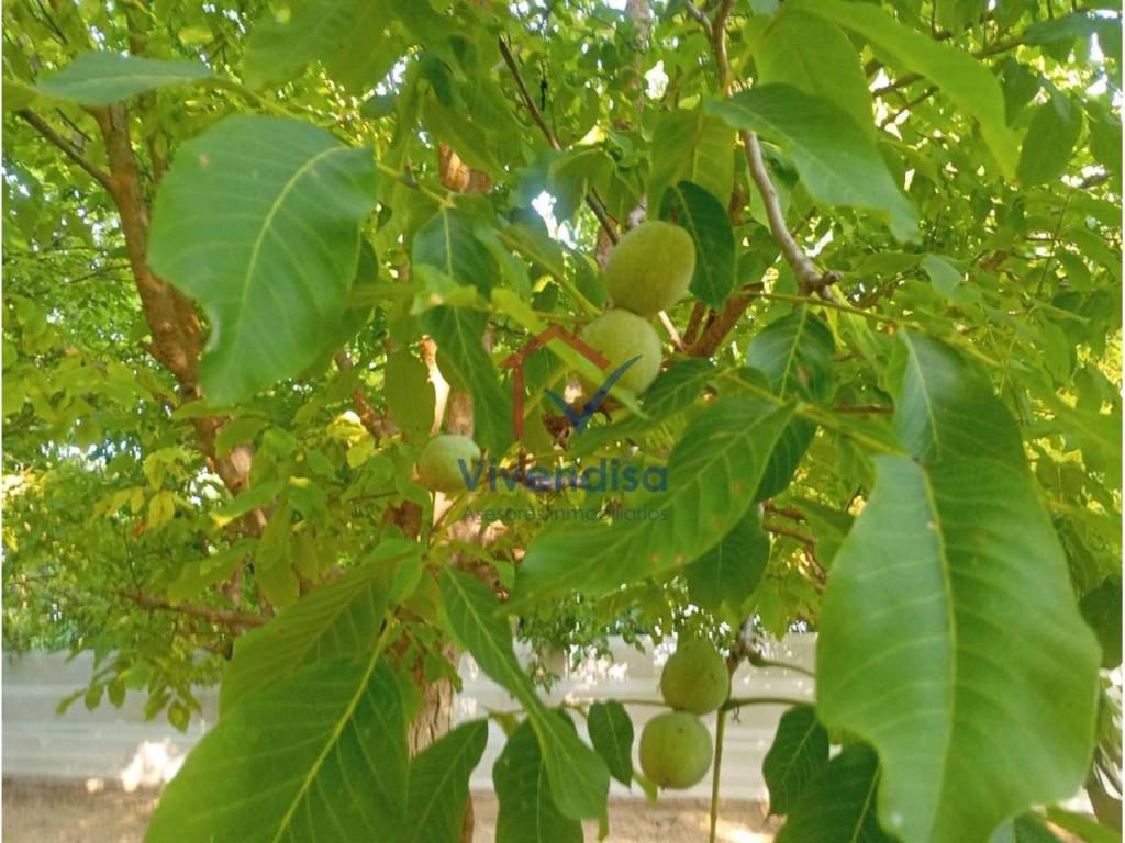 Jardín