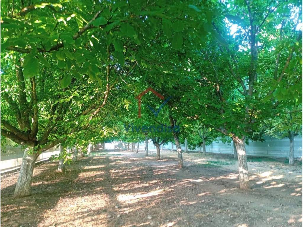 Jardín