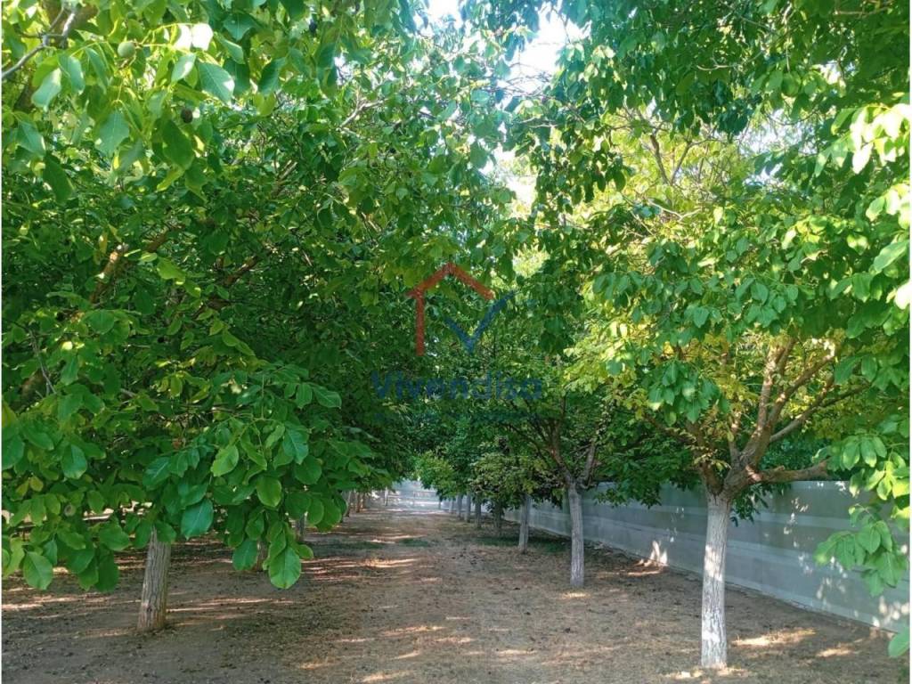 Jardín