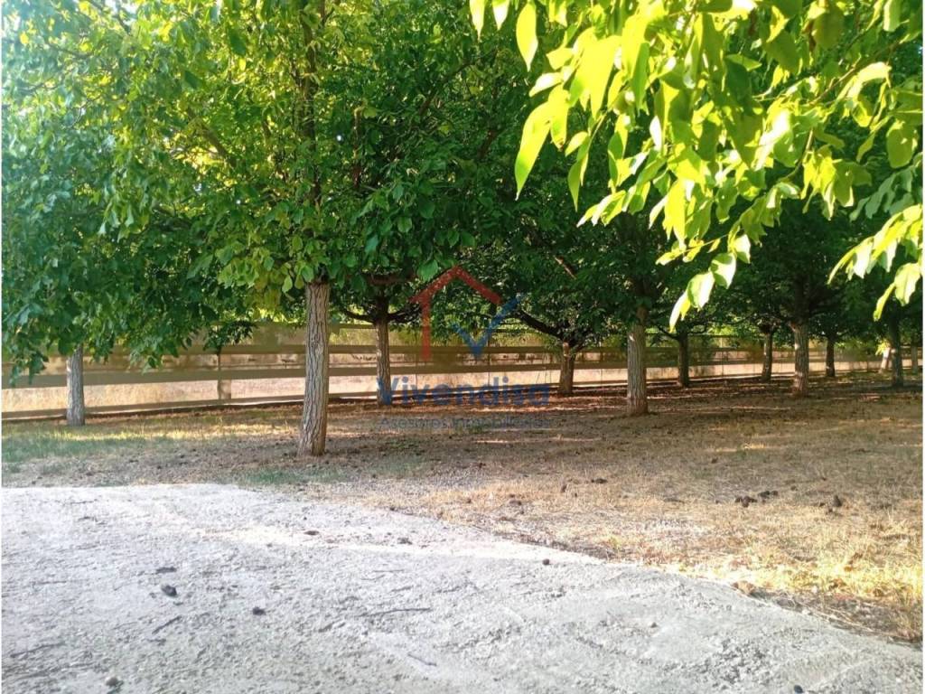 Jardín