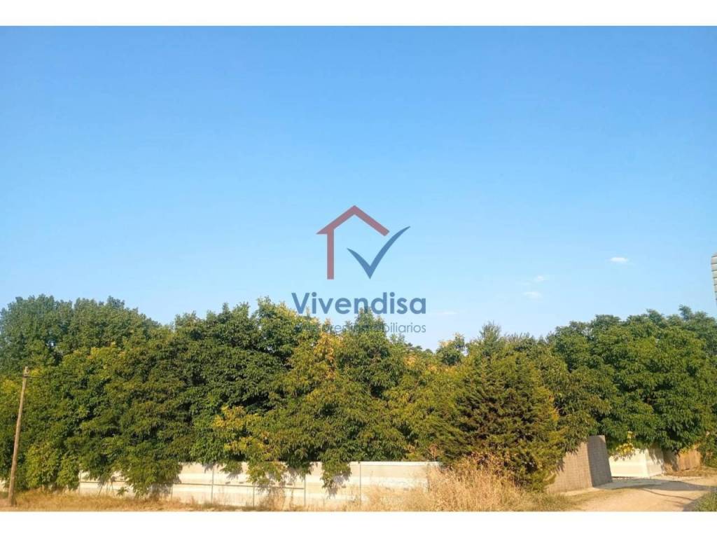 Vistas