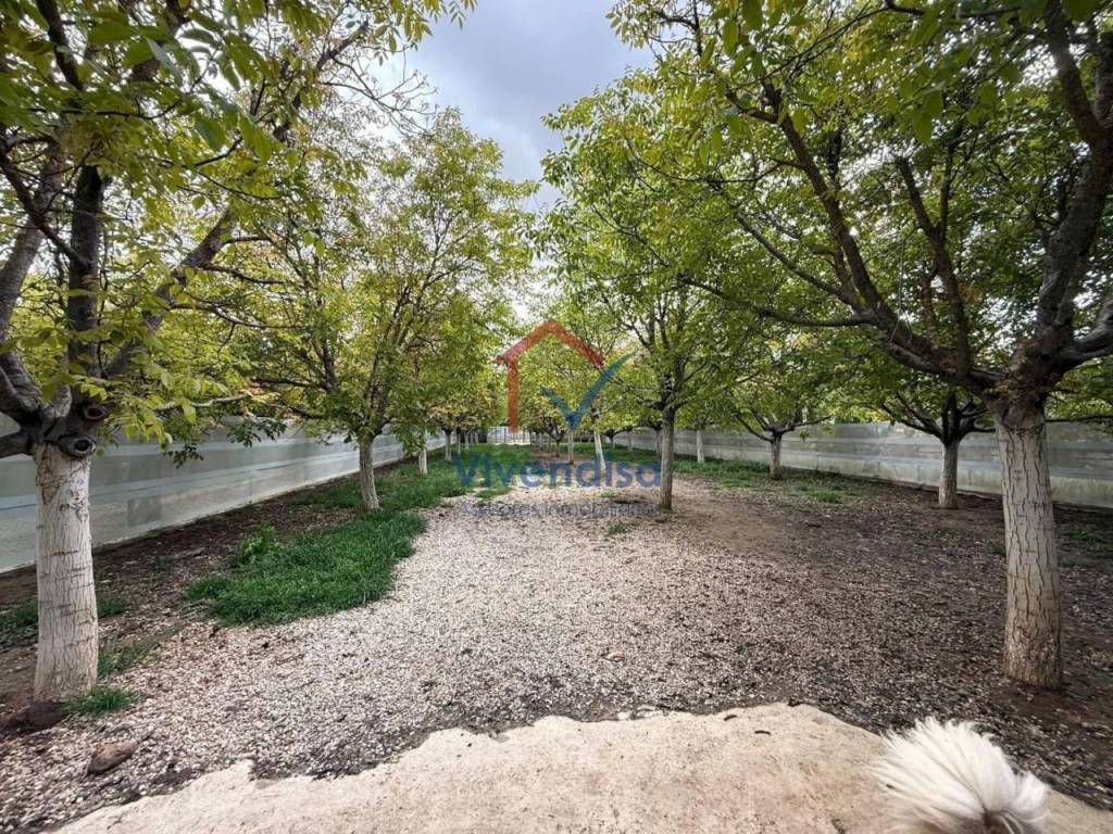 Jardín