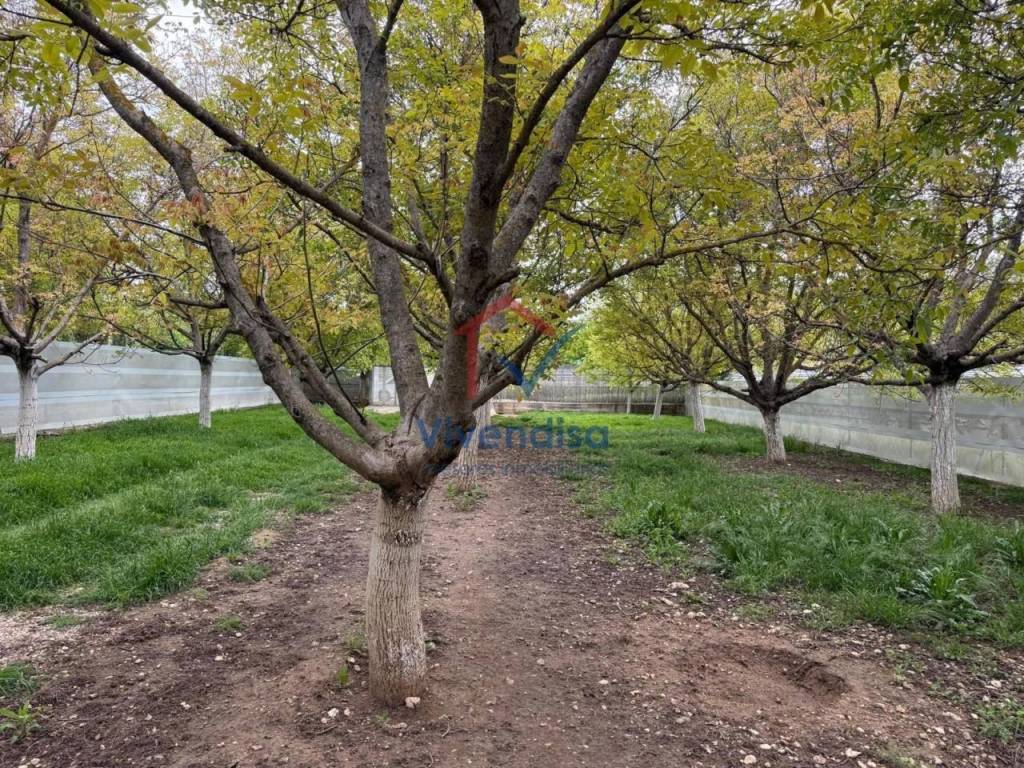 Jardín
