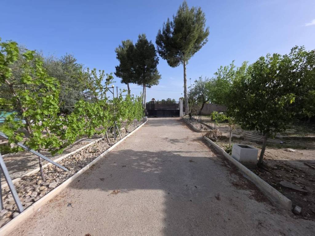 Entrada/Salida