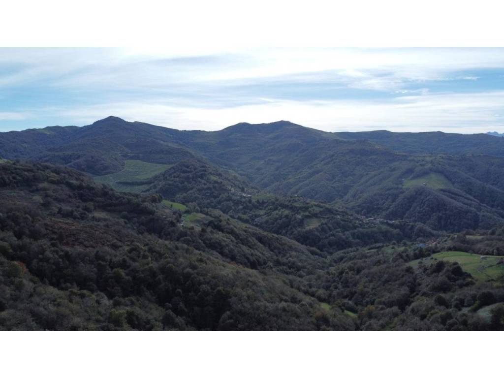 Vistas