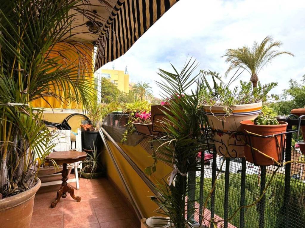 Terraza