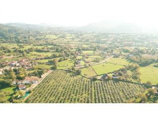 Alrededores