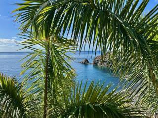 Vistas