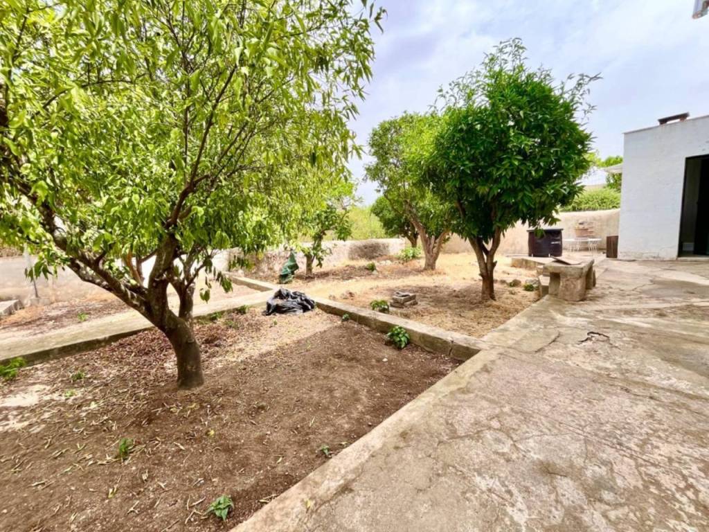 Jardín