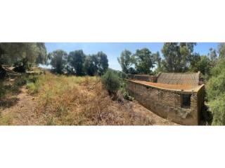 Alrededores
