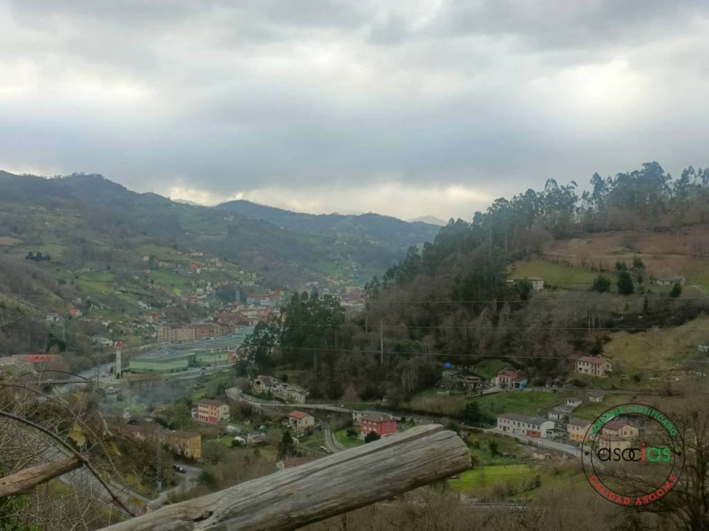 Vistas