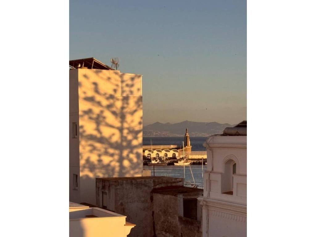 Vistas