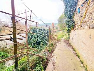 Jardín