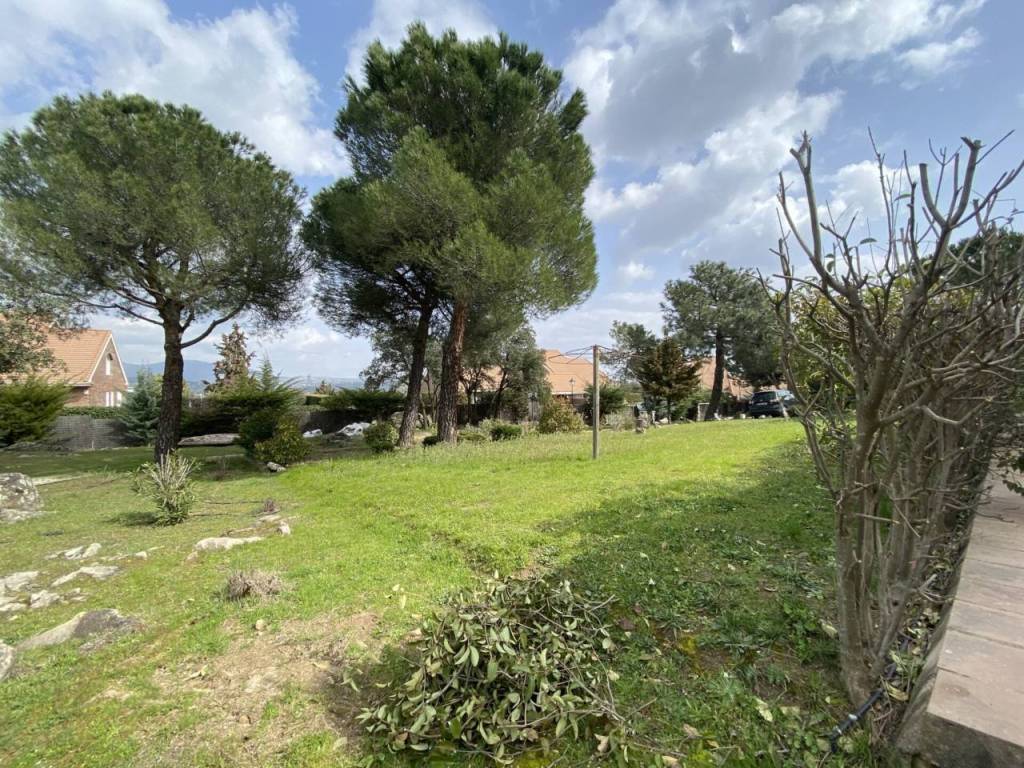 Jardín