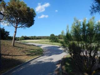 Alrededores