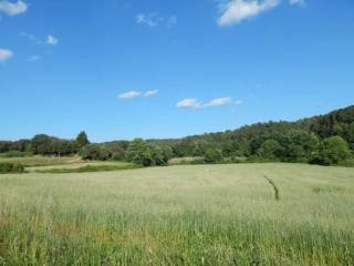 Alrededores