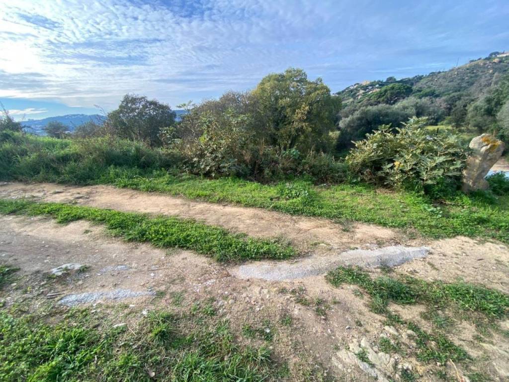 Alrededores