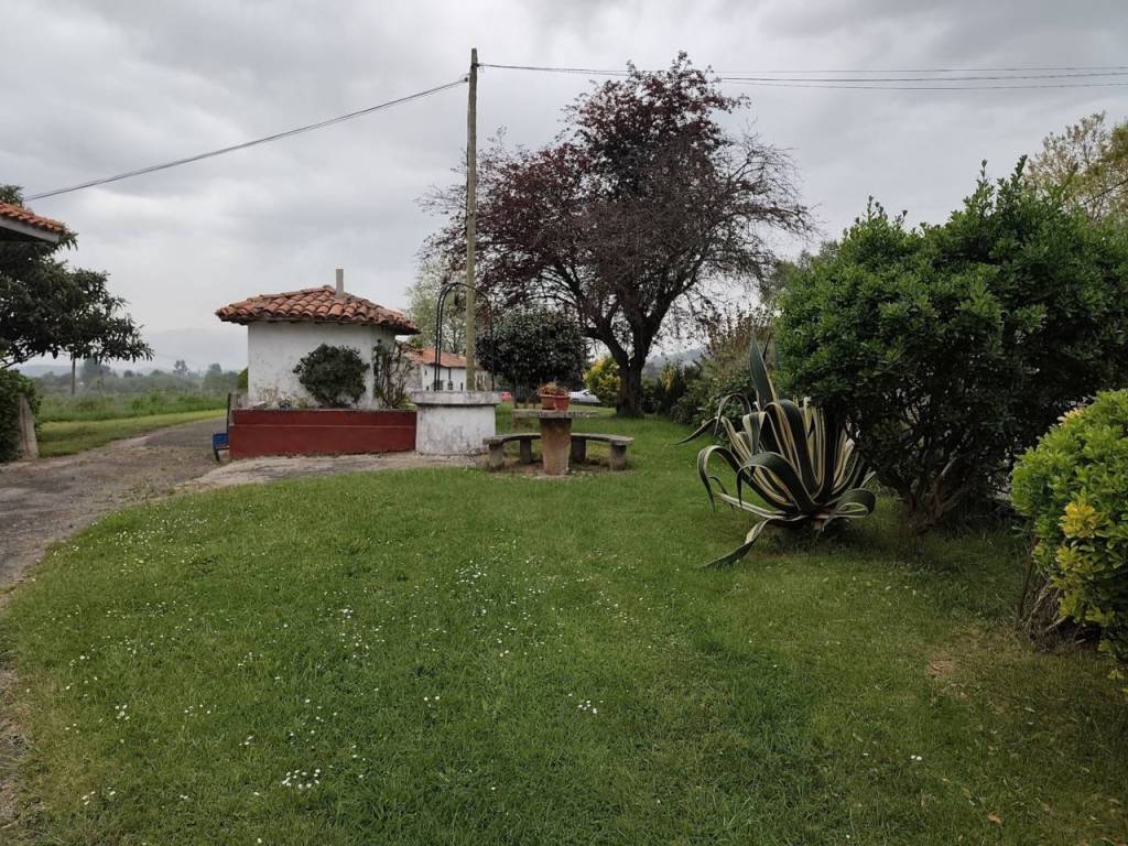 Jardín