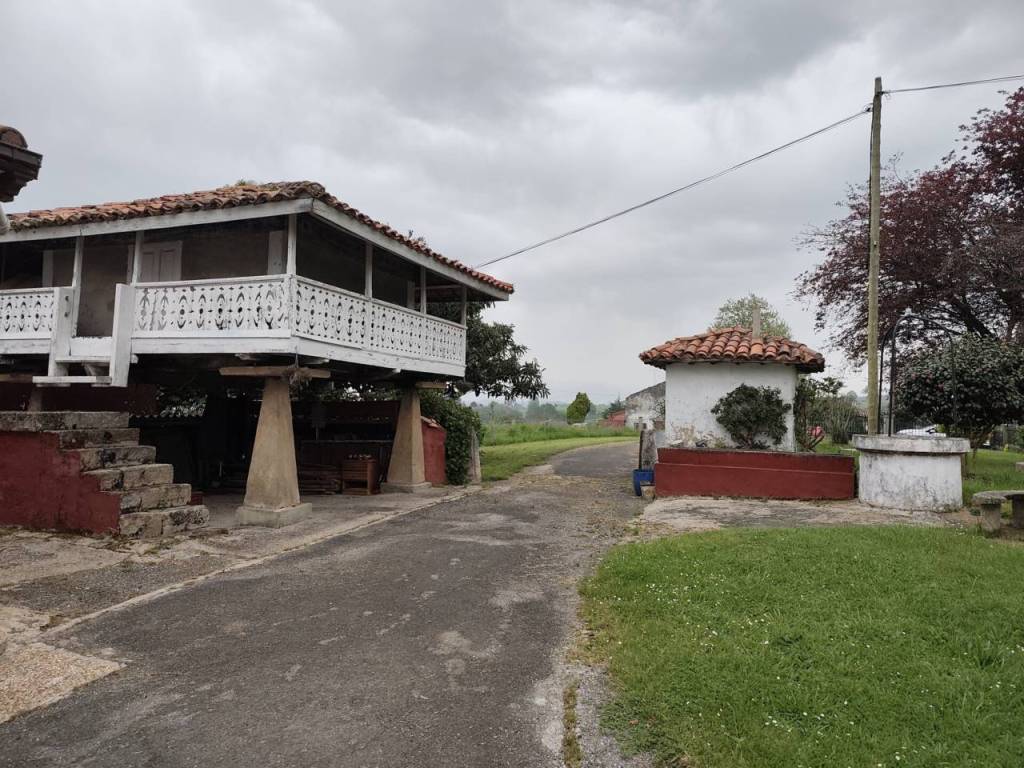 Jardín