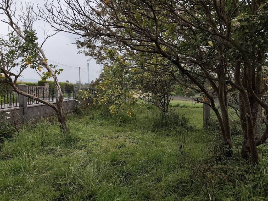 Jardín