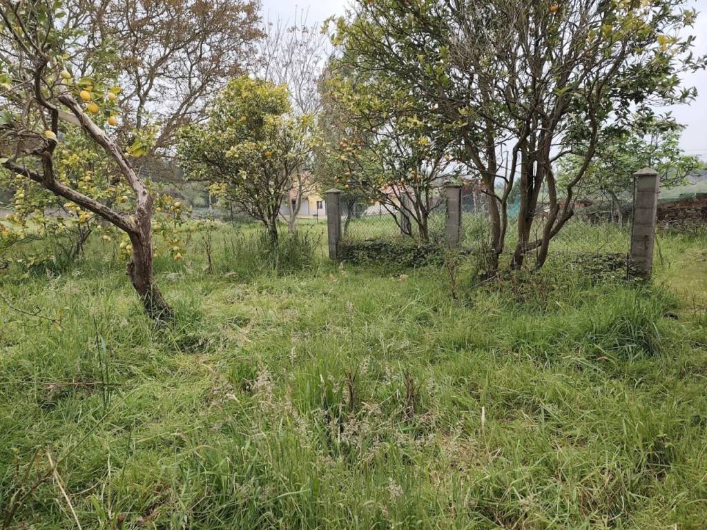 Jardín