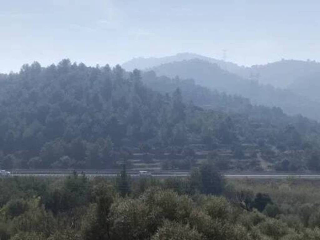 Vistas