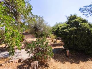 Jardín