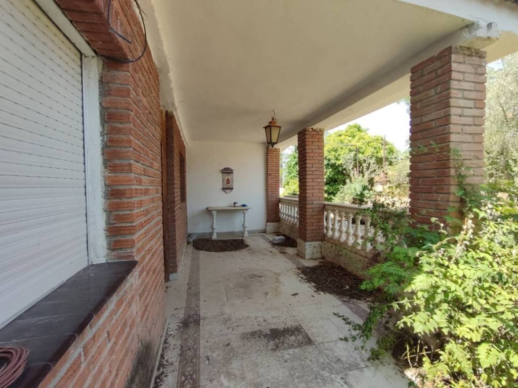 Jardín