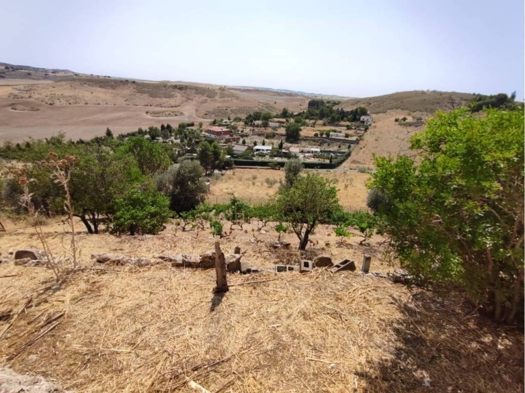 Vistas