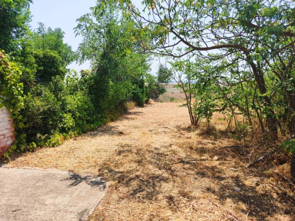 Jardín