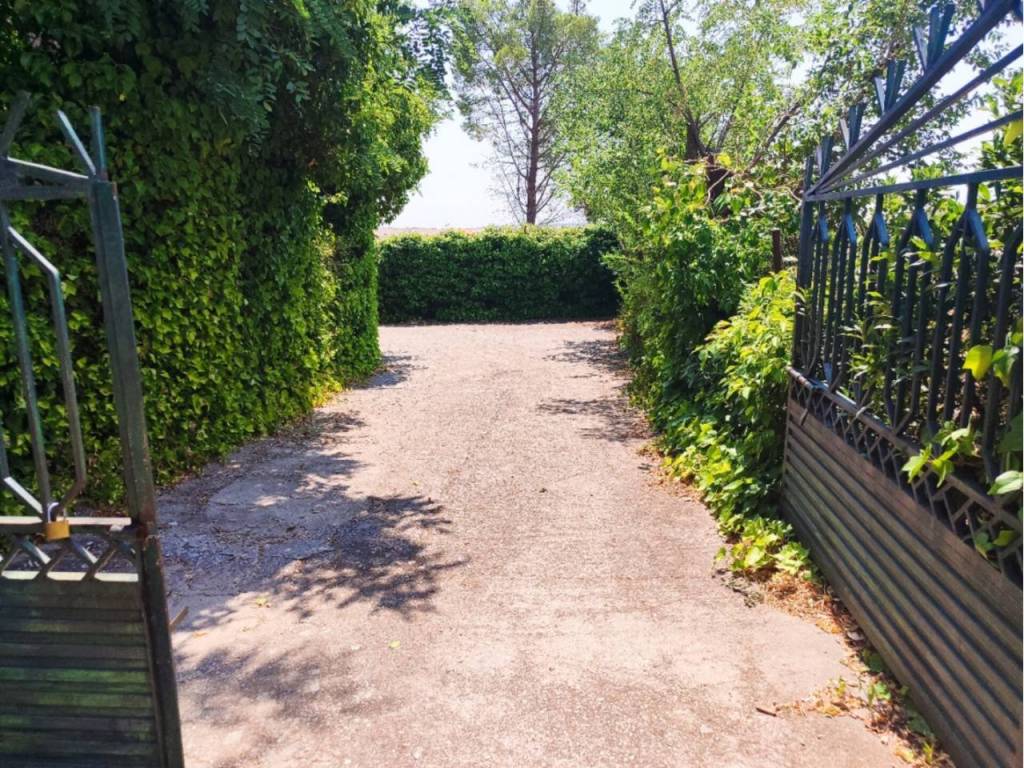 Jardín