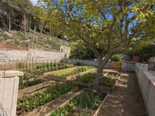 Jardín