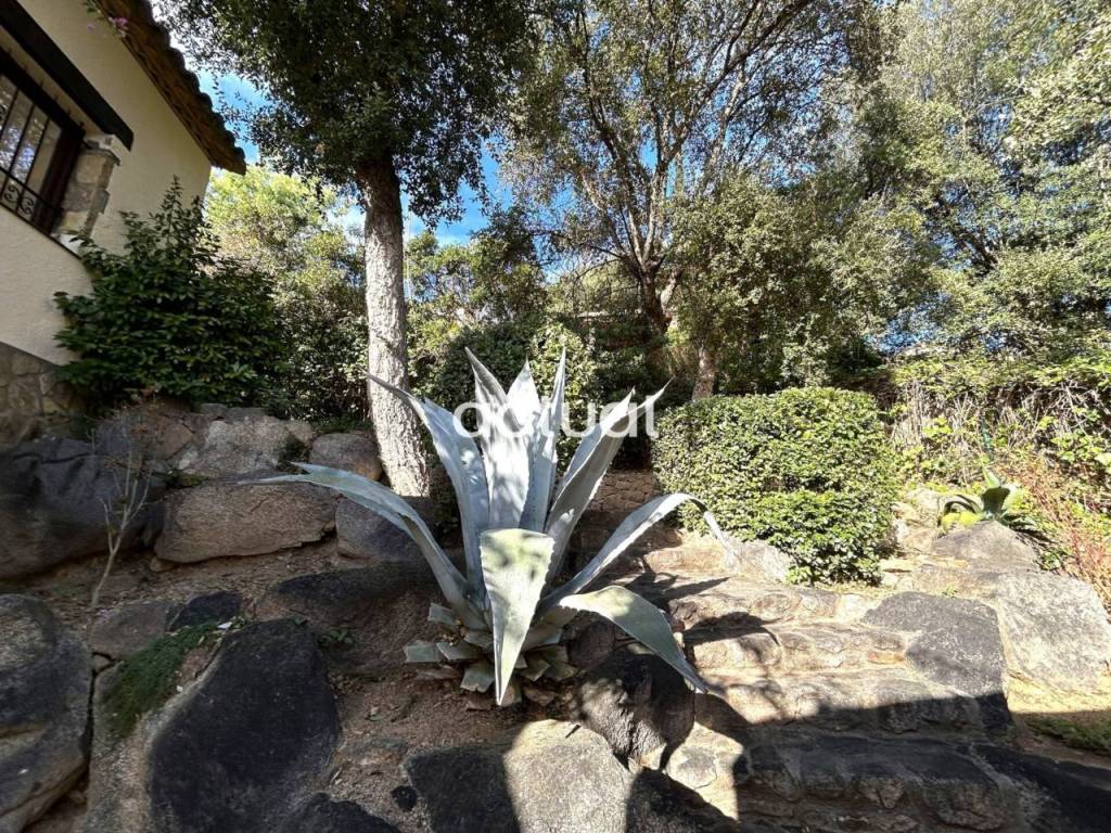 Jardín