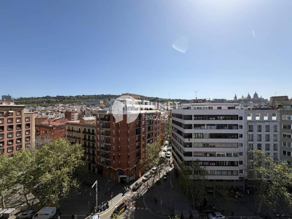 Vistas