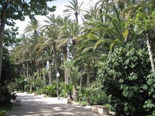 Alrededores