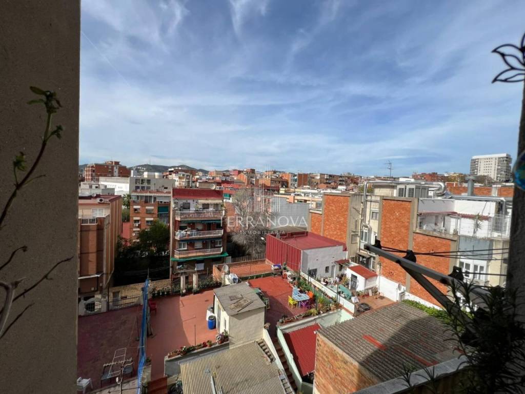 Vistas