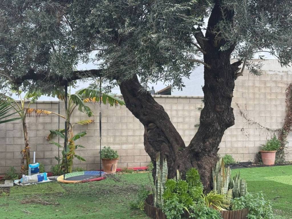 Jardín