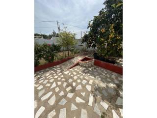 Jardín