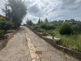 Jardín