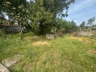 Jardín
