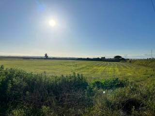 Vistas
