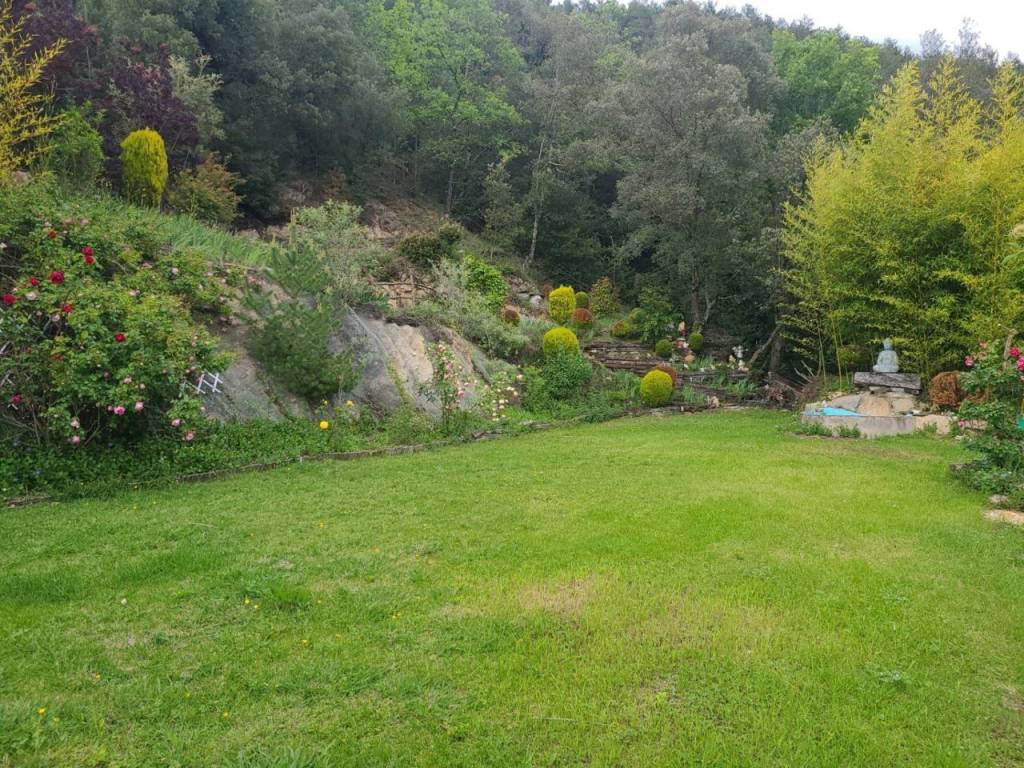 Jardín