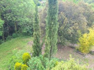 Jardín