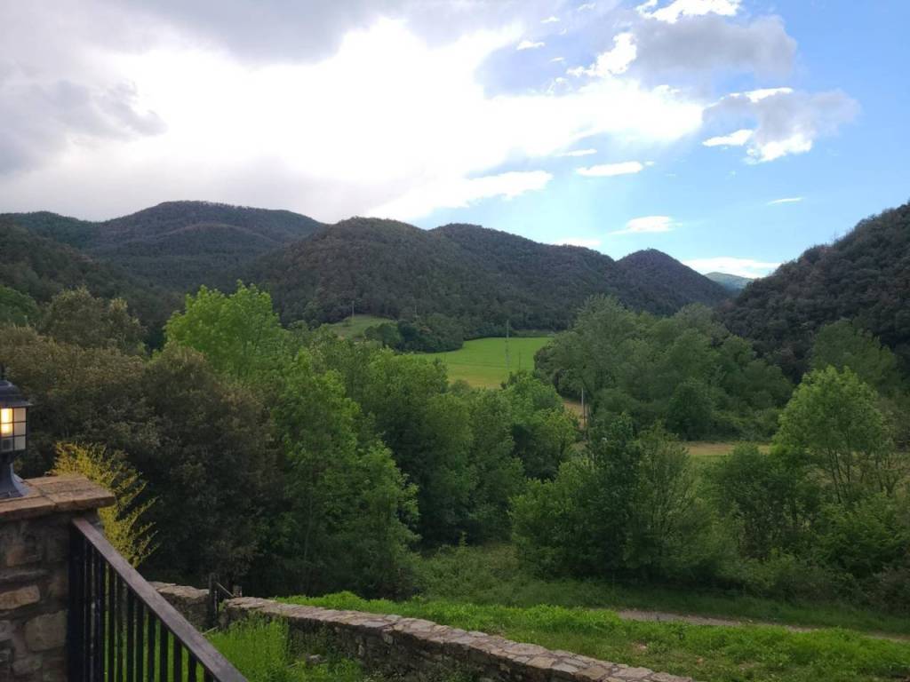 Vistas